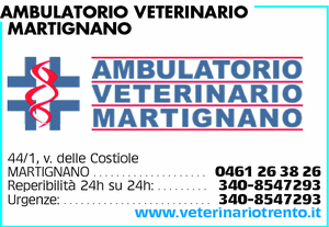 Visualizza Inserzione