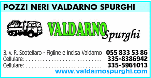 Visualizza Inserzione