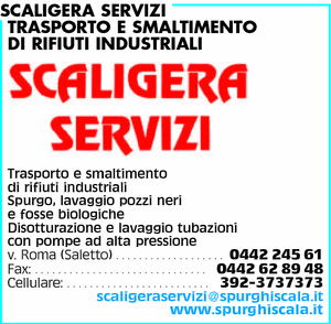 Visualizza Inserzione
