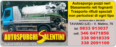 Visualizza Inserzione