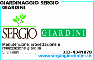 Visualizza Inserzione