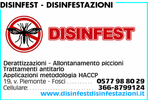 Visualizza Inserzione