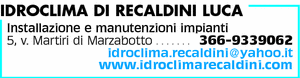 Visualizza Inserzione