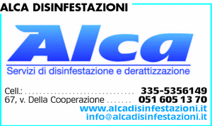 Visualizza Inserzione