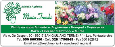 Visualizza Inserzione