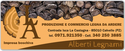 Visualizza Inserzione