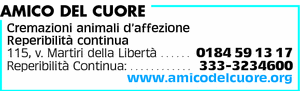 Visualizza Inserzione