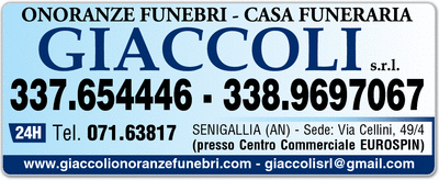 Visualizza Inserzione