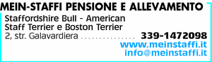 Visualizza Inserzione