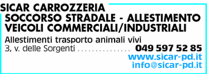Visualizza Inserzione