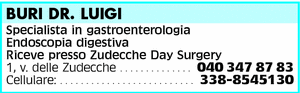 Visualizza Inserzione