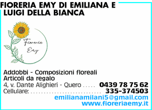 Visualizza Inserzione