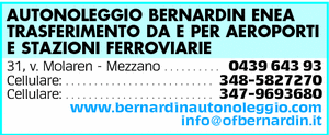 Visualizza Inserzione