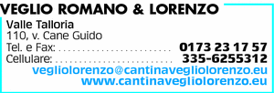 Visualizza Inserzione