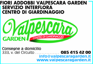 Visualizza Inserzione