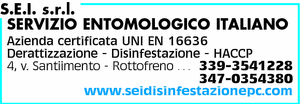 Visualizza Inserzione