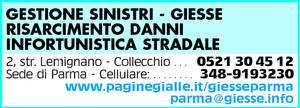 Visualizza Inserzione
