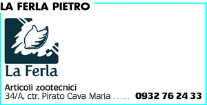 Visualizza Inserzione