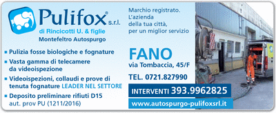 Visualizza Inserzione