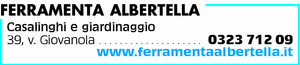 Visualizza Inserzione