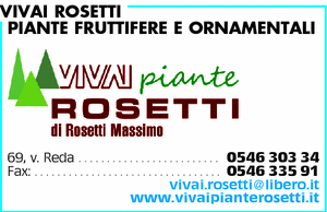 Visualizza Inserzione