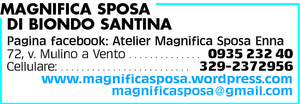 Visualizza Inserzione