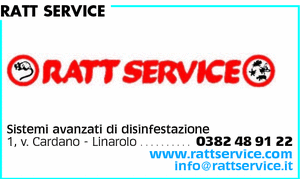 Visualizza Inserzione