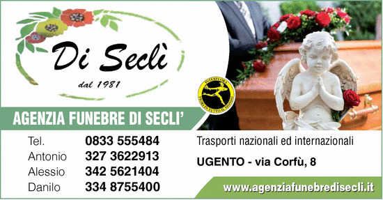 Visualizza Inserzione