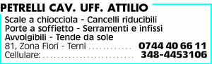 Visualizza Inserzione