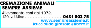 Visualizza Inserzione