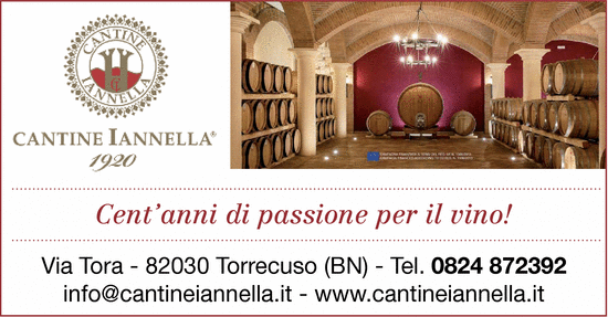 Visualizza Inserzione