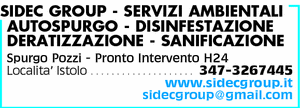 Visualizza Inserzione