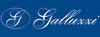 Galluzzi S.r.l. logo