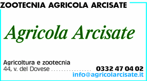 Visualizza Inserzione