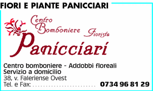 Visualizza Inserzione