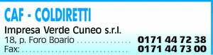 Visualizza Inserzione