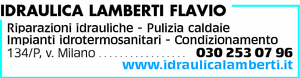 Visualizza Inserzione