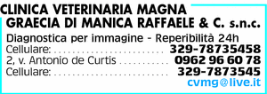 Visualizza Inserzione
