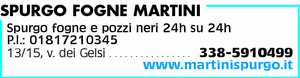 Visualizza Inserzione