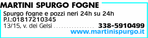 Visualizza Inserzione