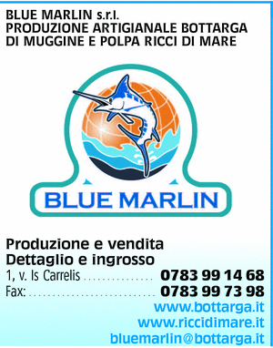 Visualizza Inserzione