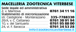 Visualizza Inserzione