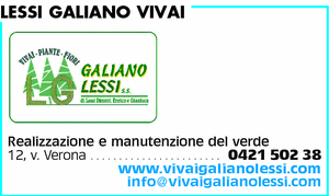 Visualizza Inserzione