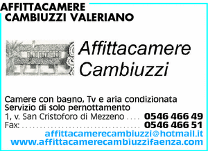 Visualizza Inserzione
