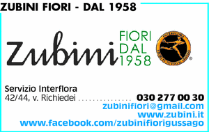 Visualizza Inserzione