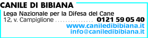 Visualizza Inserzione