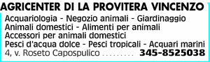 Visualizza Inserzione