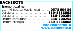 Visualizza Inserzione