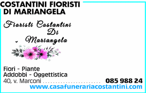 Visualizza Inserzione