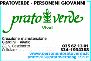 Visualizza Inserzione